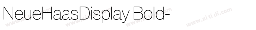 NeueHaasDisplay Bold字体转换 NeueHaasDisplay Bold字体转换